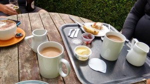 Spot the wasp! Maurice's scone with jam and clotted cream was the attraction.