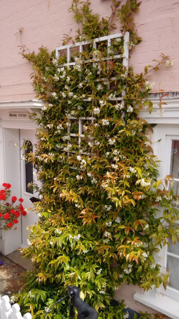 IMG_20160707_132436418