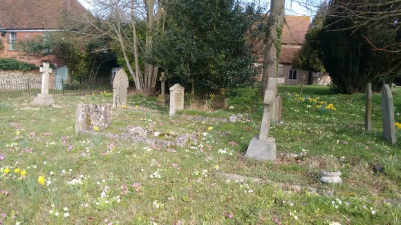 IMG_20170316_105933141