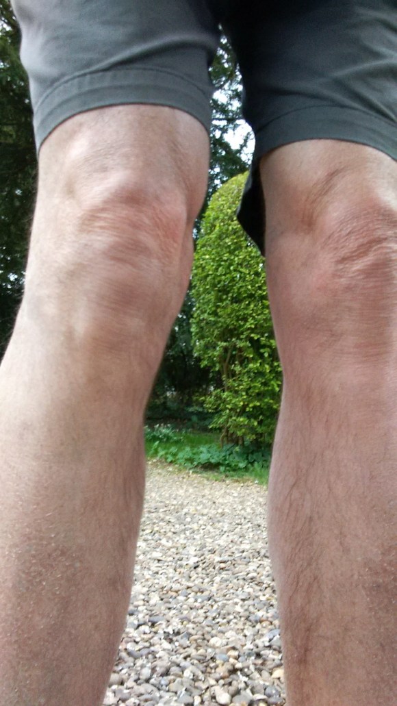 IMG_20170316_145746566