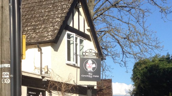 Grumpy mole