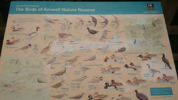 IMG_20170511_113907316