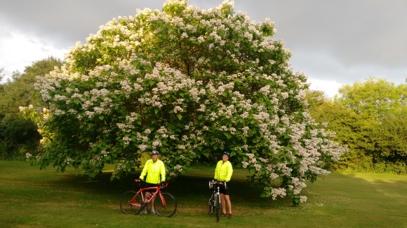 IMG_20170710_195644091