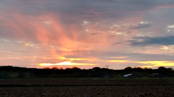 IMG_20171009_182007815_HDR