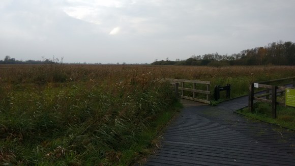 IMG_20171019_143459142