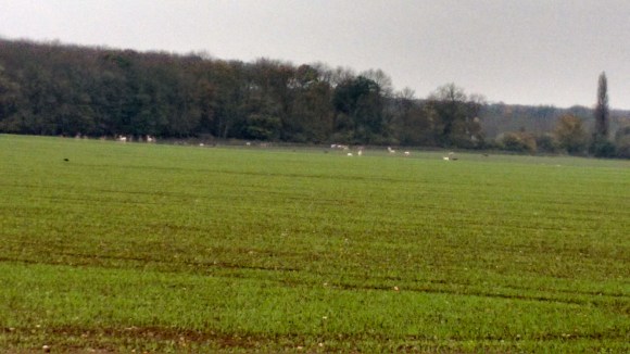 IMG_20171102_121945500_HDR