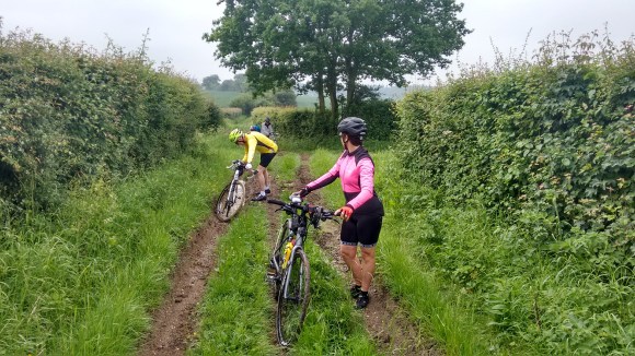 img_20180531_103339807_hdr