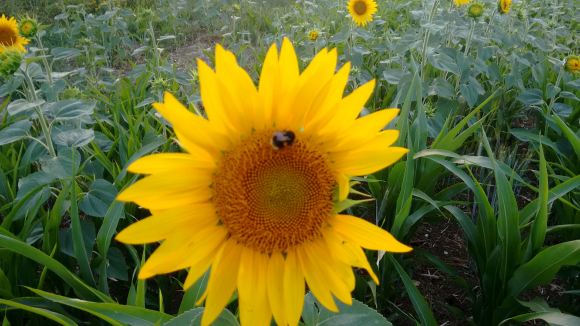 img_20180806_202008463