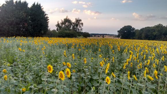 img_20180806_202015948_hdr