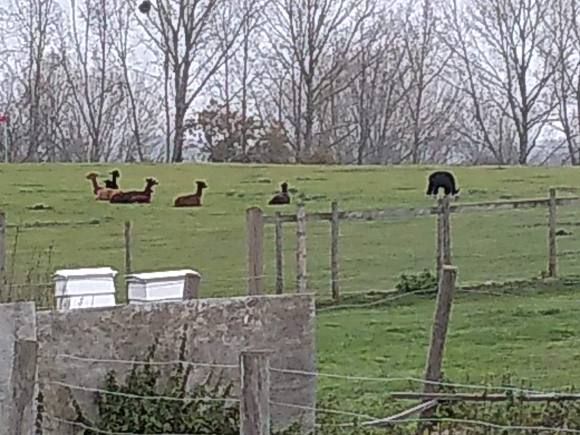 img_20181115_114628118