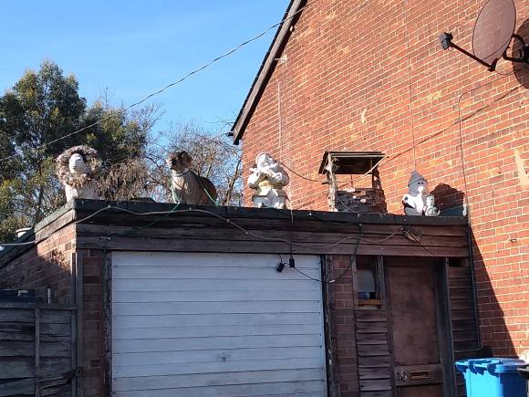 img_20190214_112036699