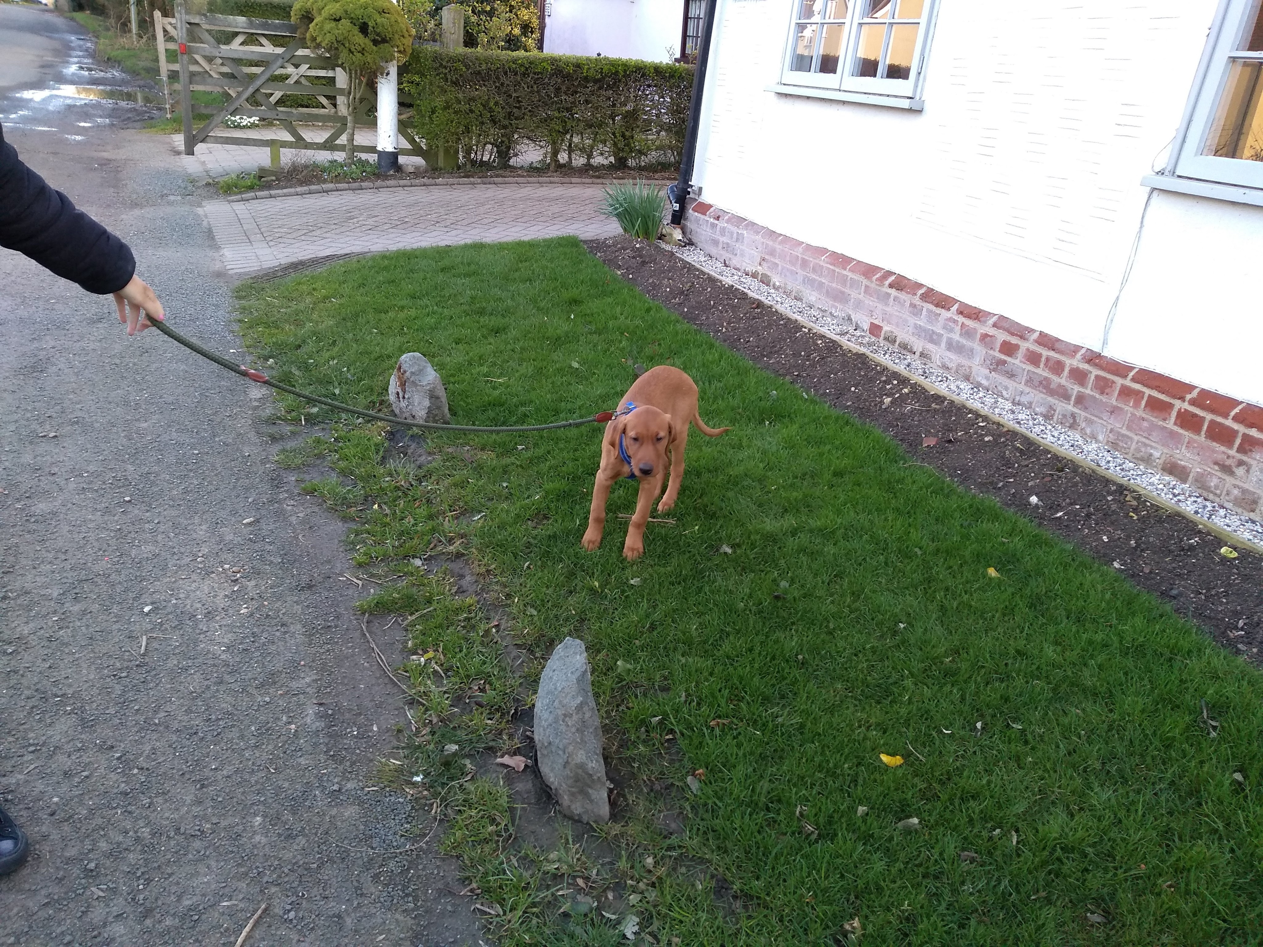 img_20190318_171018435