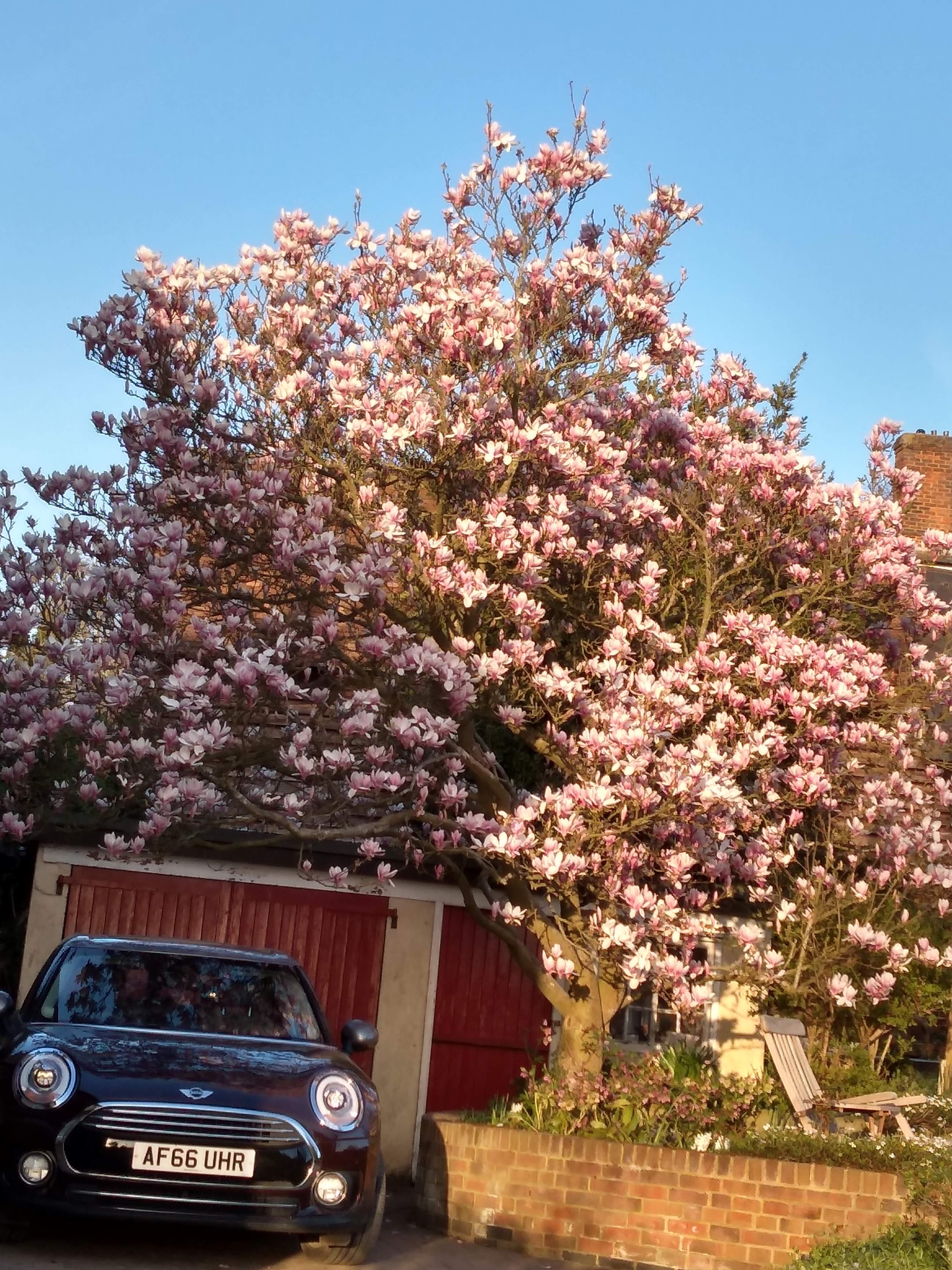 img_20190325_173532042_hdr