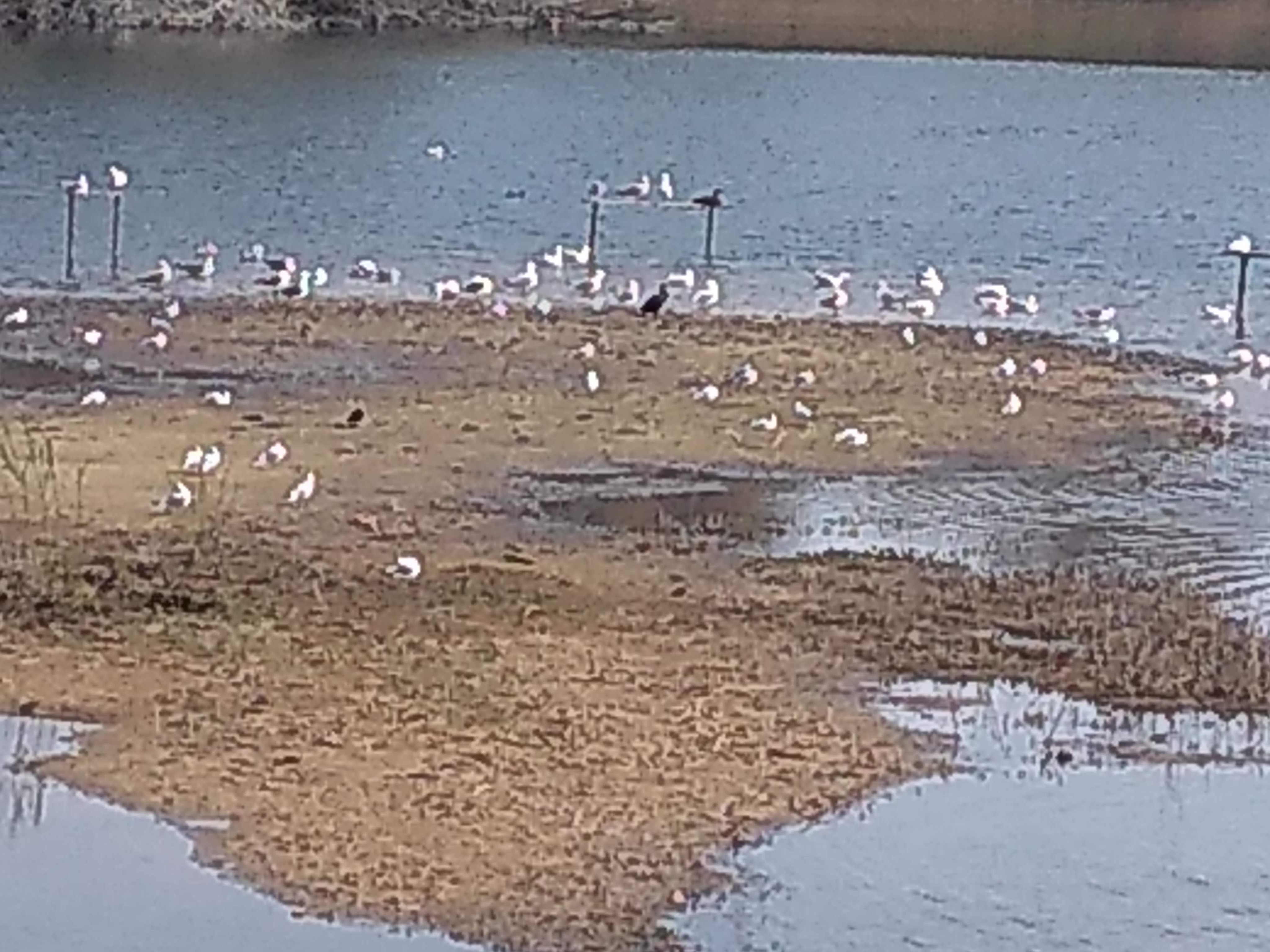 img_20190418_105756432