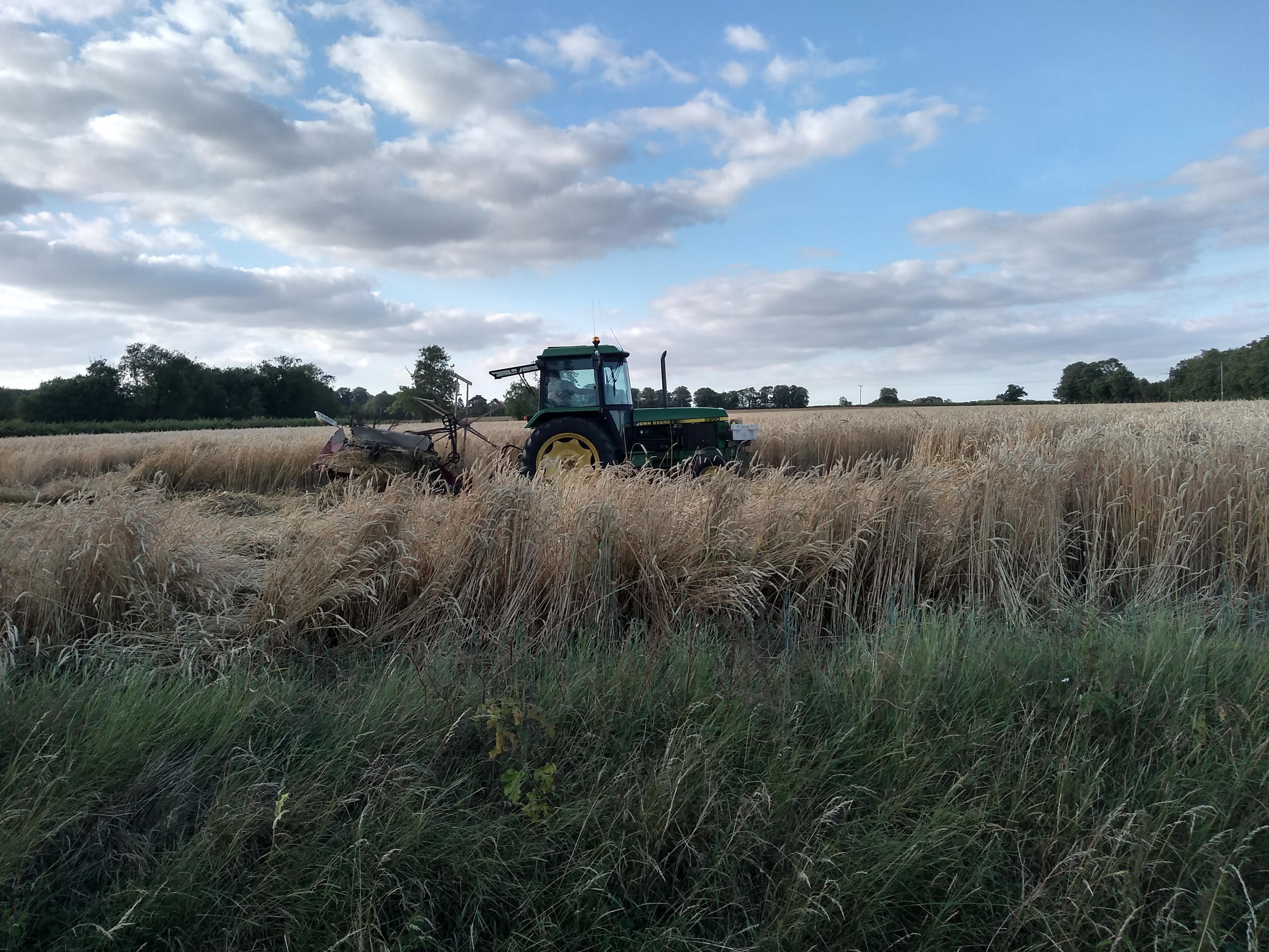 img_20190722_191406987_hdr-3