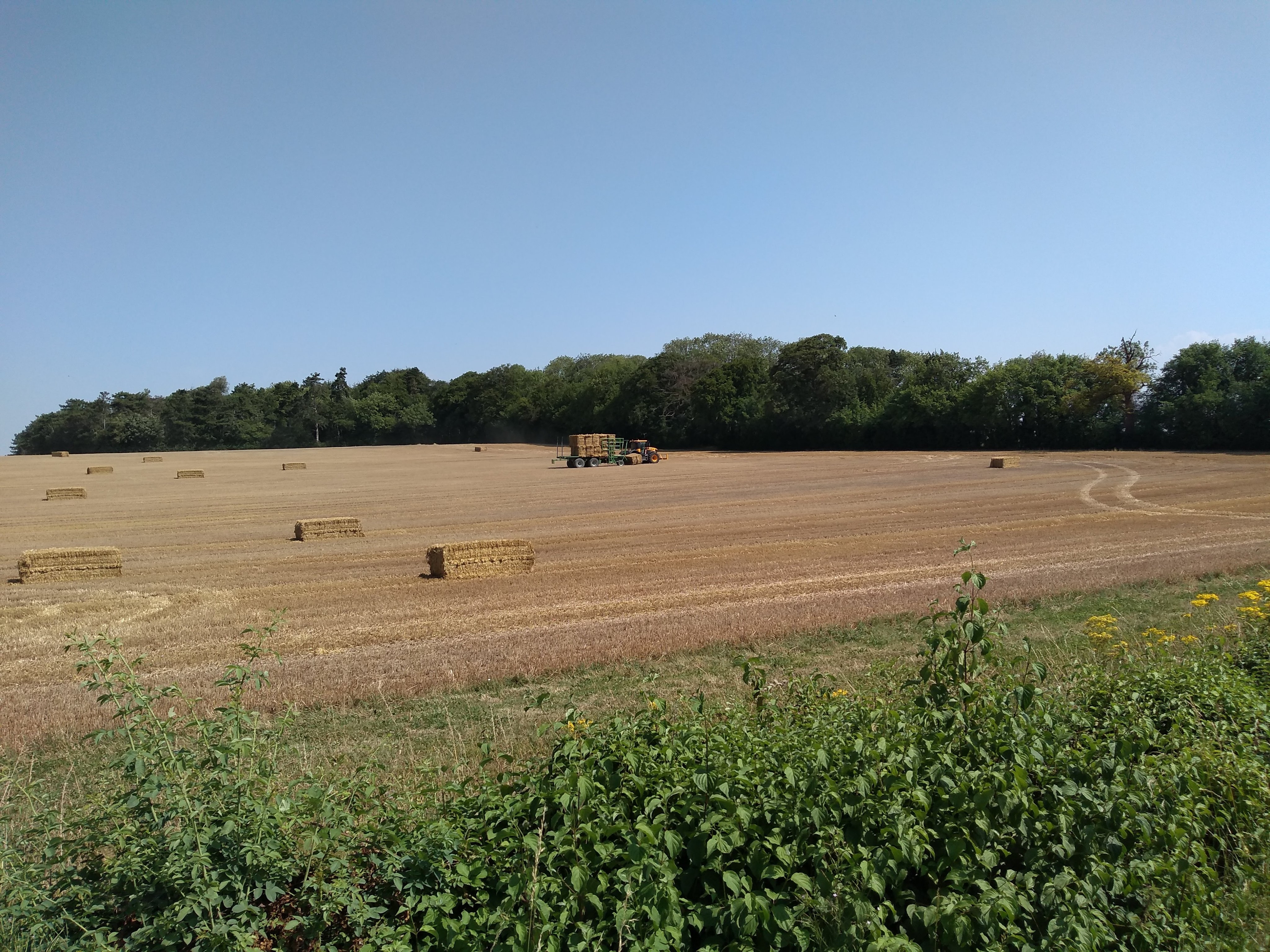 img_20190725_105605935