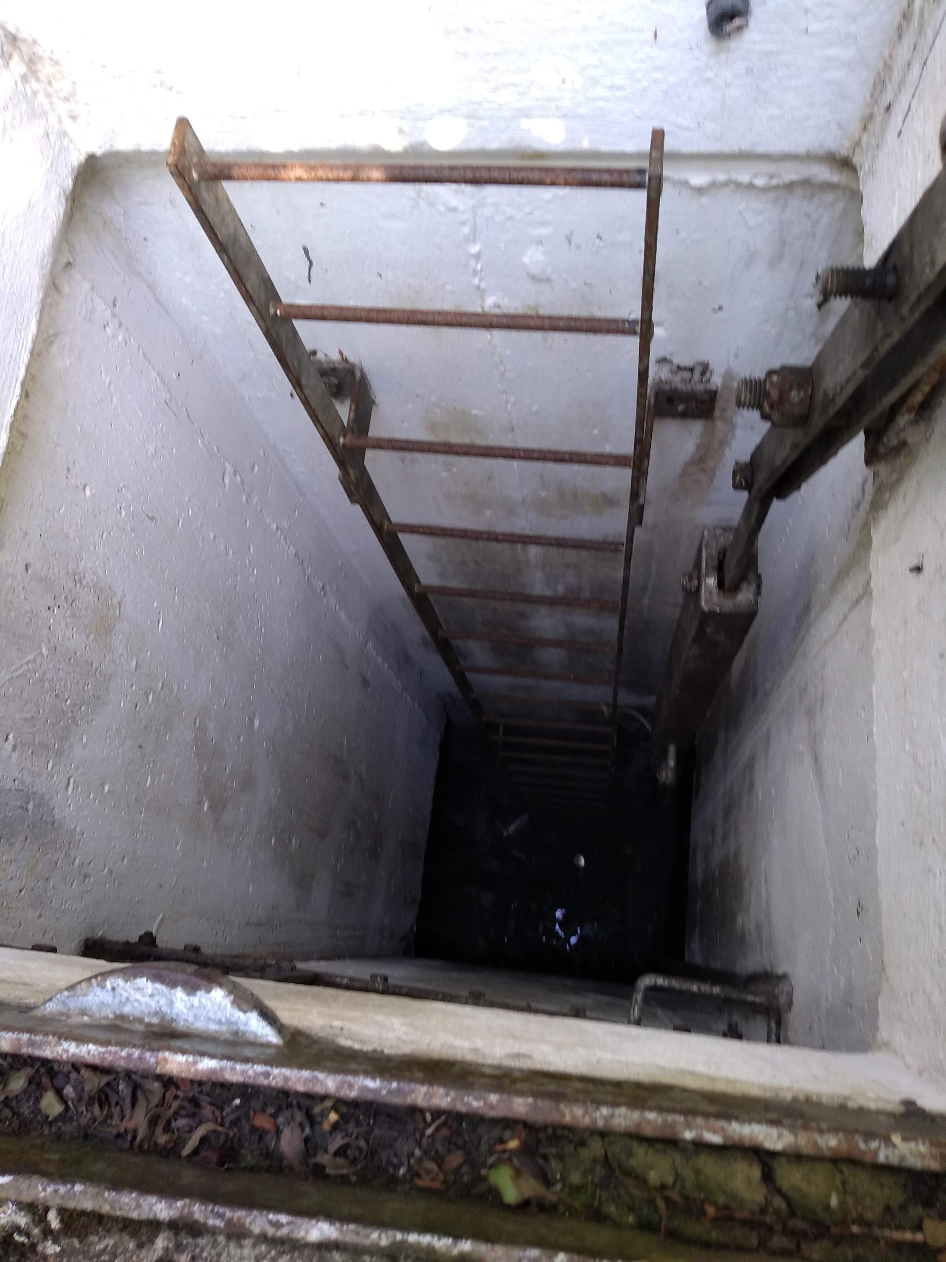 img_20190819_172621174_burst000_cover