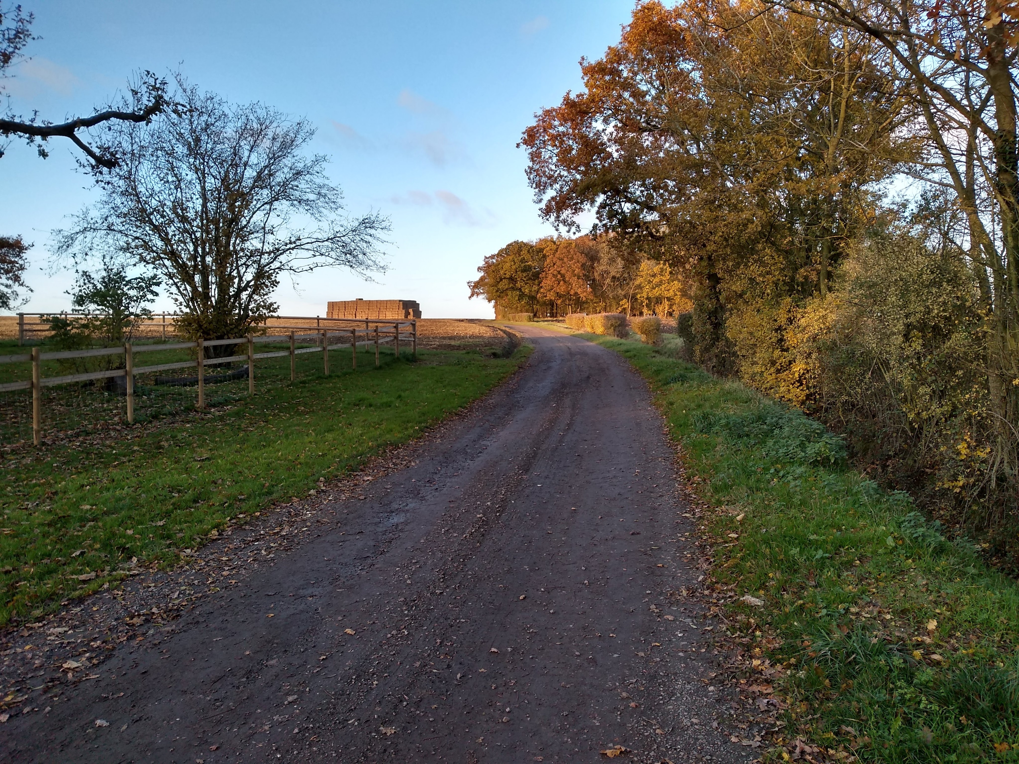 img_20191118_153408037_hdr