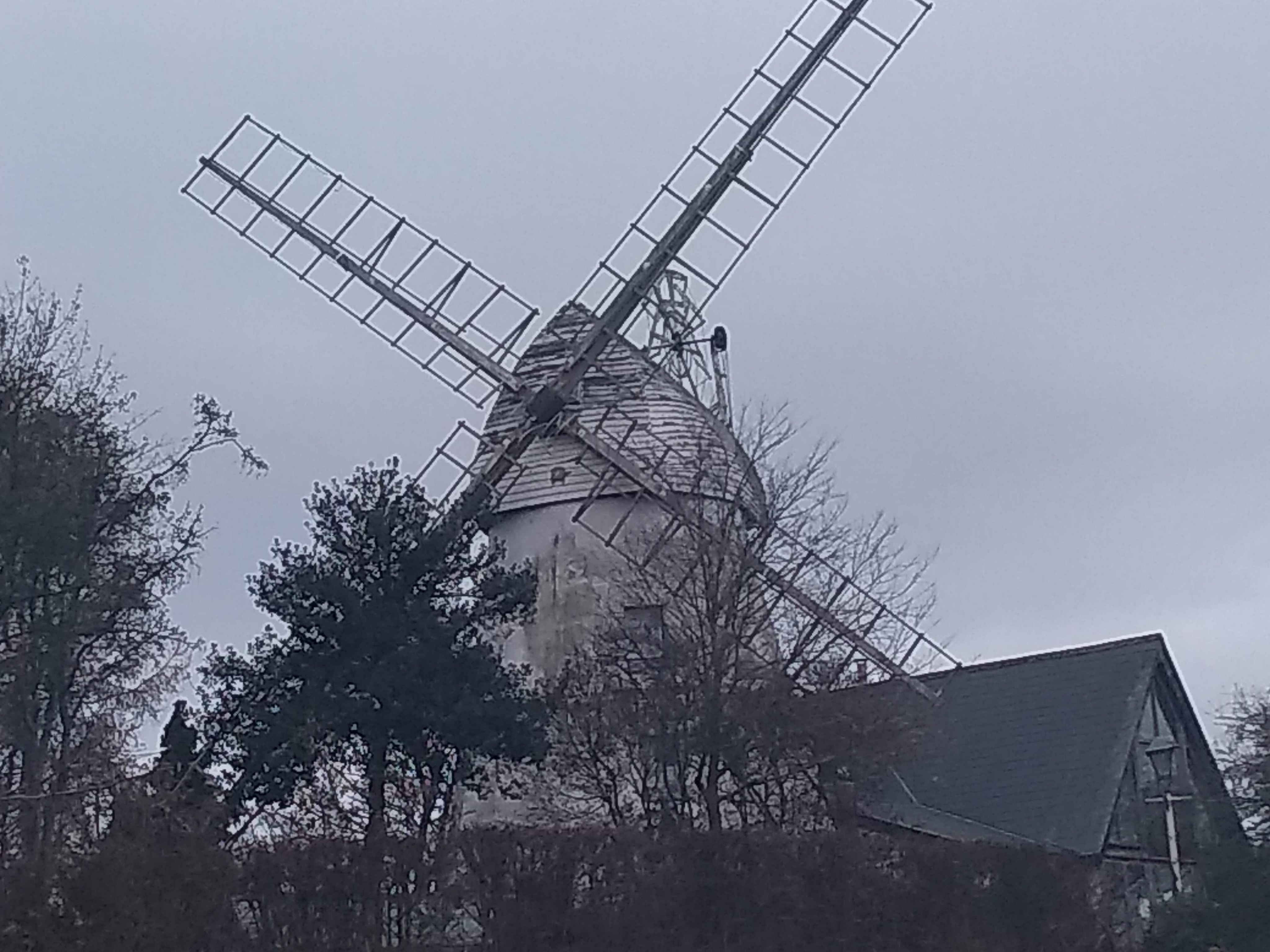 img_20191121_113518353