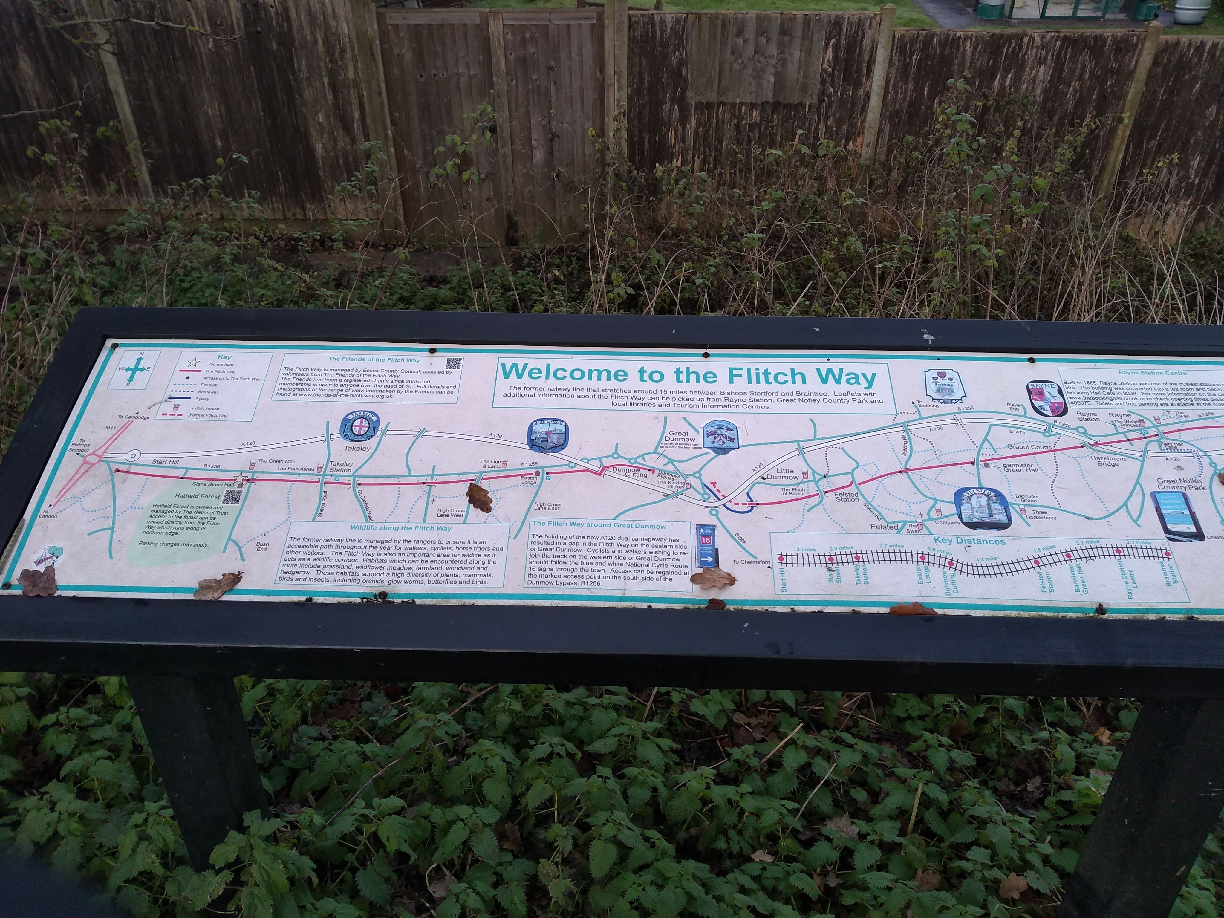 img_20191205_125018684_burst000_cover