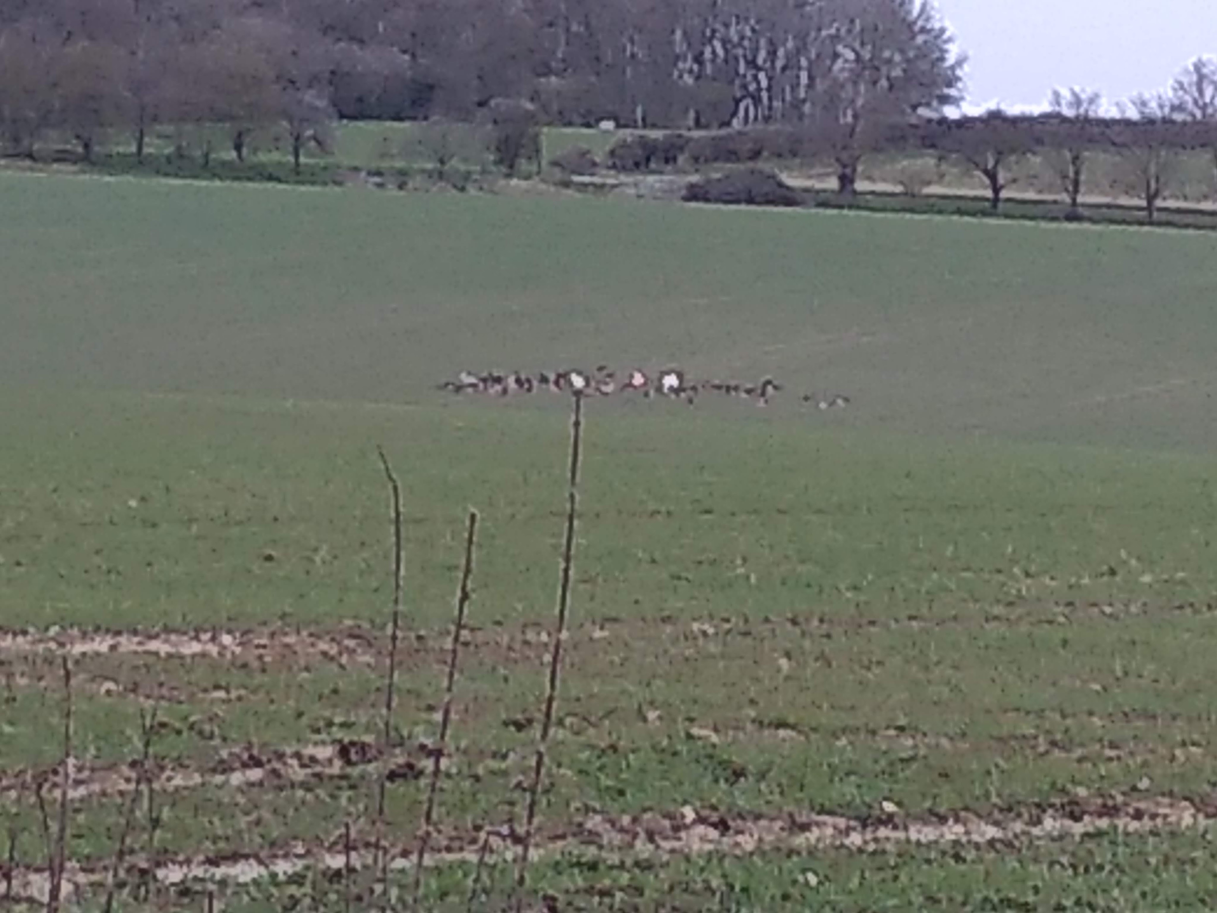 img_20200309_155534077_burst000_cover