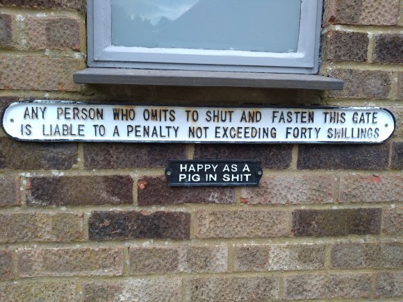 img_20200615_171659247